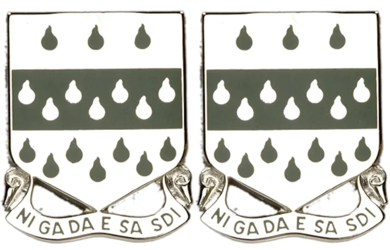 377th usar bct regiment unit insignia pair