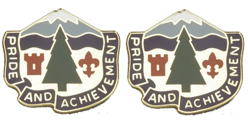 380th repl battalion insignia set pair