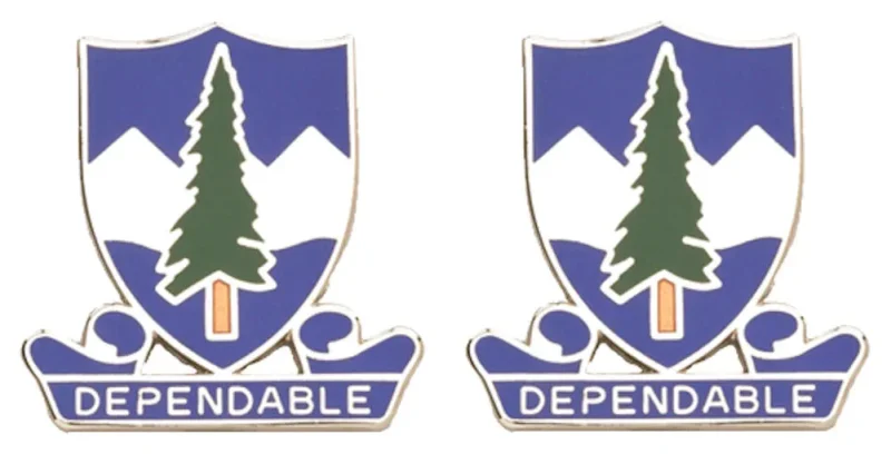 383rd regiment distinctive insignia pair