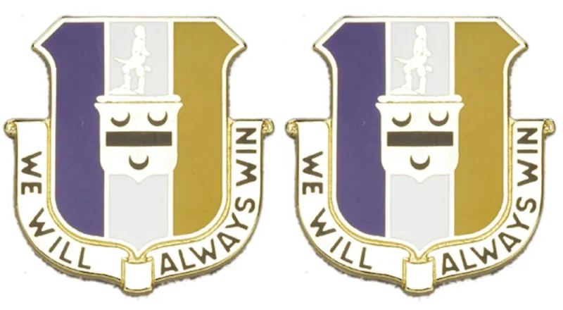 391st bct regiment insignia pair