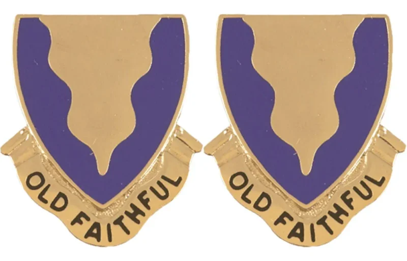 415th regiment unit insignia pair