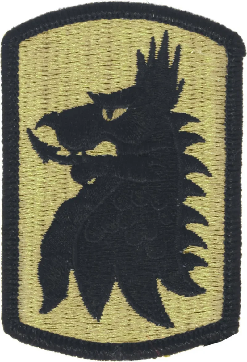 455th chemical brigade ocp veteran patch