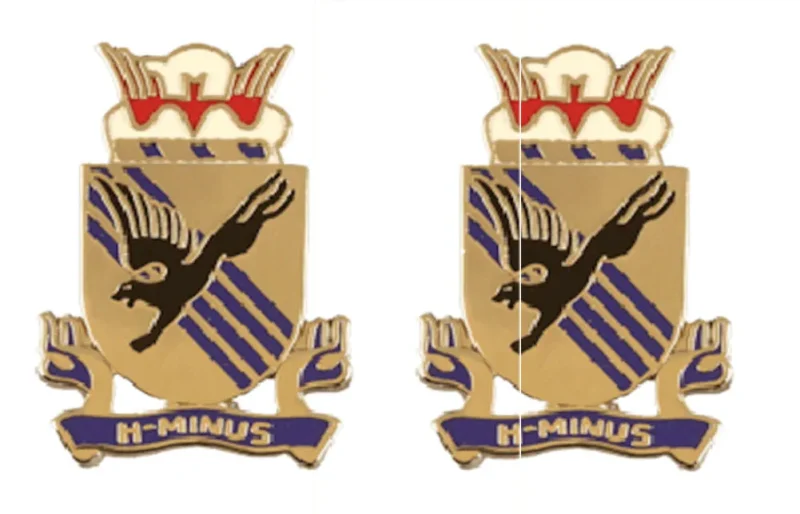 505th infantry unit insignia pair distinctive design