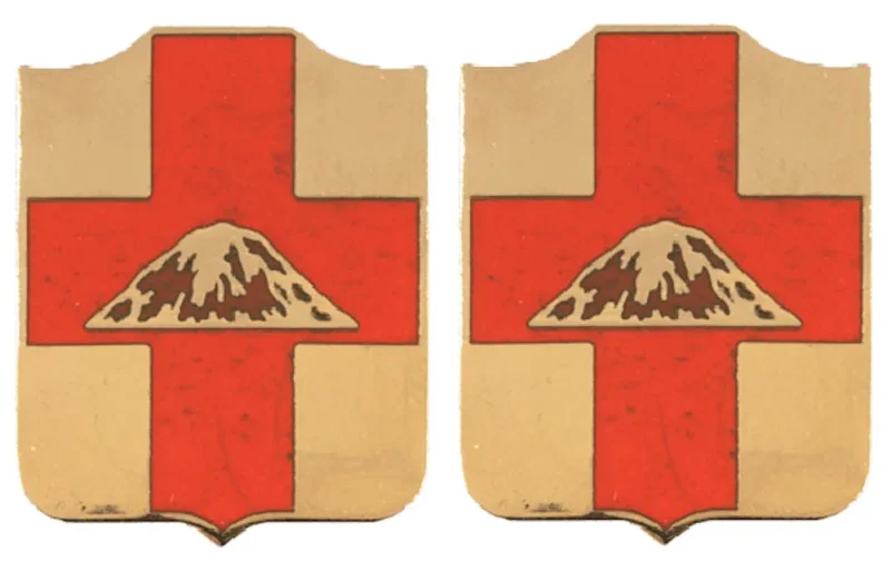 56th medical battalion insignia pair