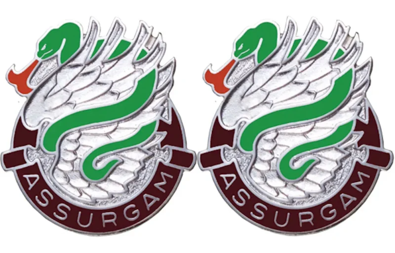 626th support battalion insignia pair assurgam