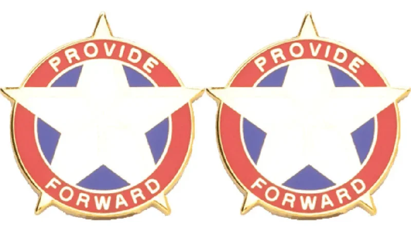 64th support group insignia pair