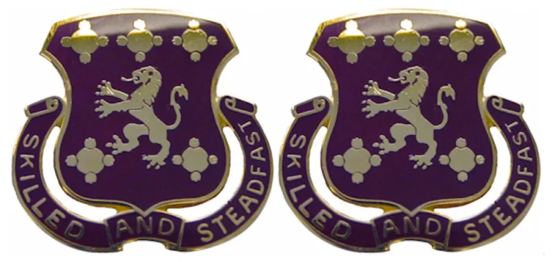 704th support battalion insignia pair skilled steadfast