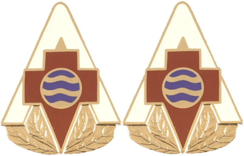 75th combat support hospital insignia pair