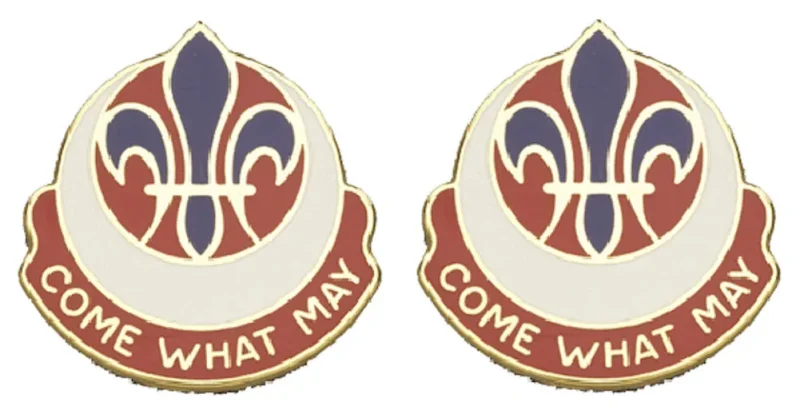 773rd maintenance battalion insignia pair come what may