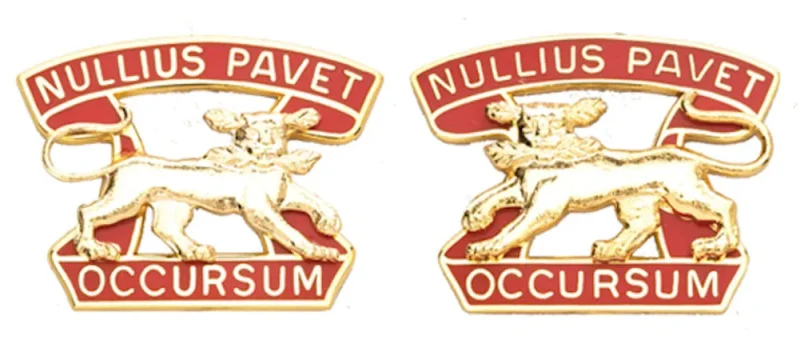 7th air defense artillery insignia set nullius pavet occursum