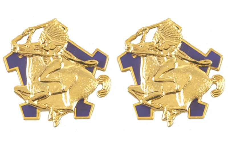 9th cavalry unit insignia pair