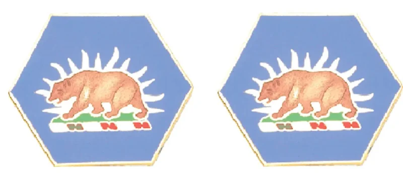 california starrs unit insignia pair