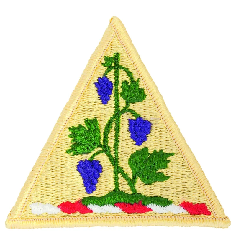 connecticut national guard full color dress patch