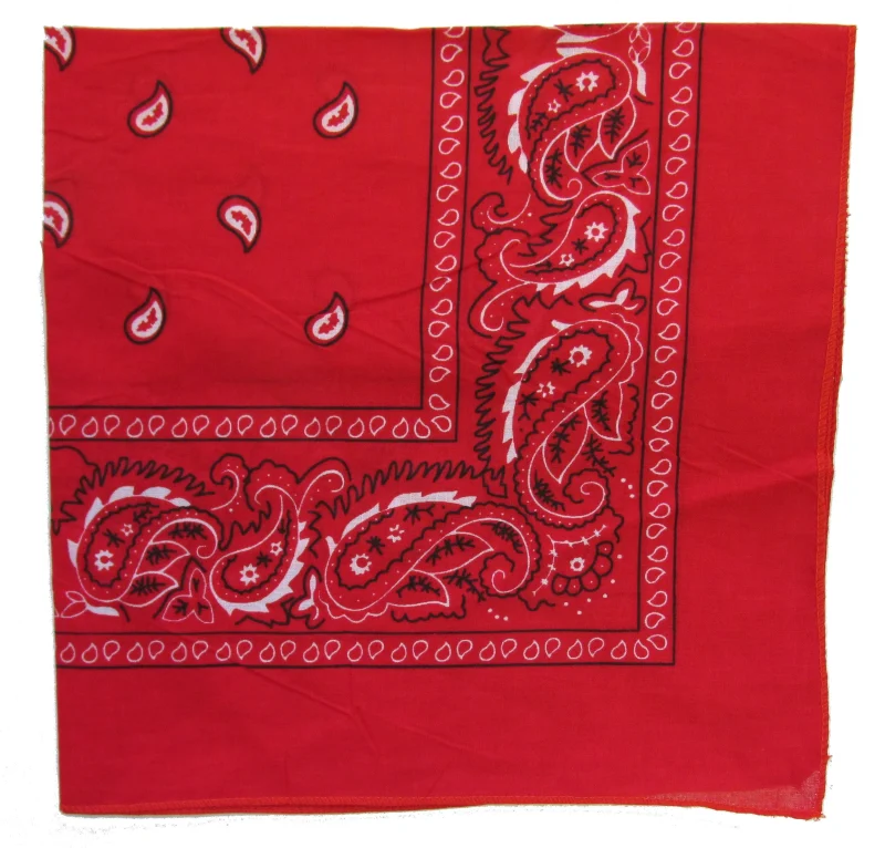 lightweight paisley bandana trainman 5 colors clearance scaled