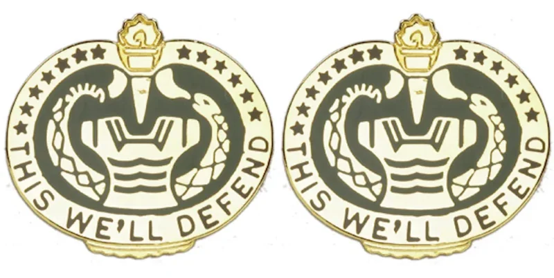 pair of distinguished unit insignia trainer personnel