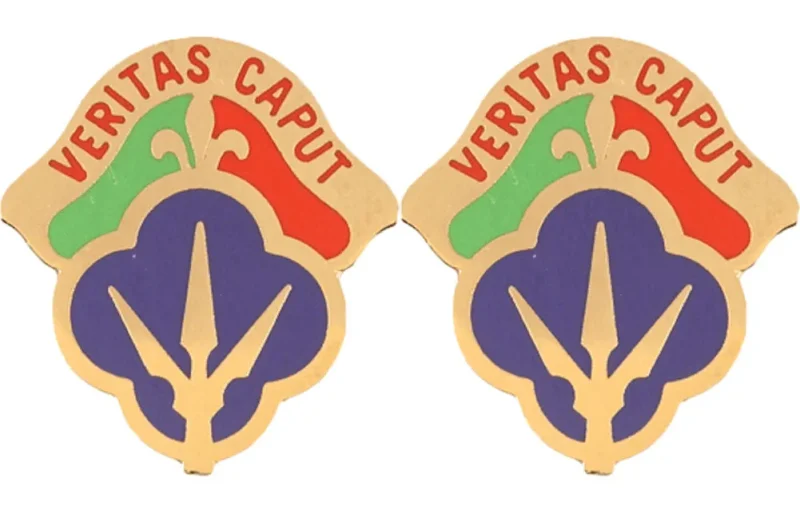 regional readiness command insignia pair veritas caput