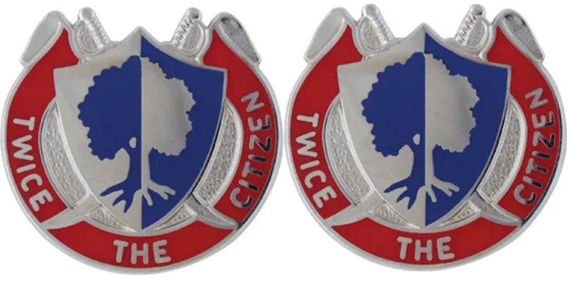 reserve command distinctive unit insignia pair