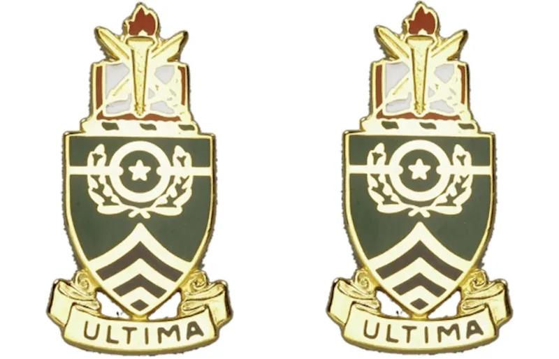 sergeants major academy insignia set pair