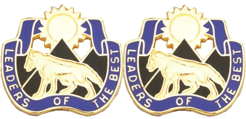 south dakota starc unit insignia pair