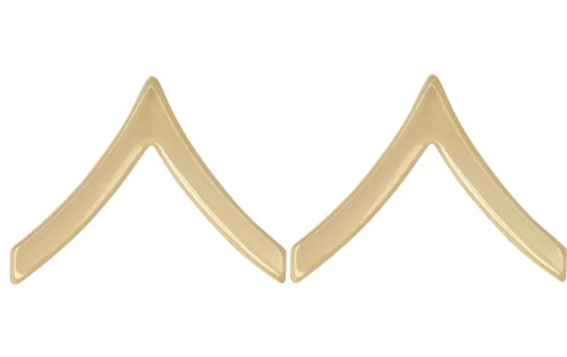 us army gold pin on rank pair